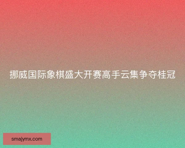 挪威国际象棋盛大开赛高手云集争夺桂冠