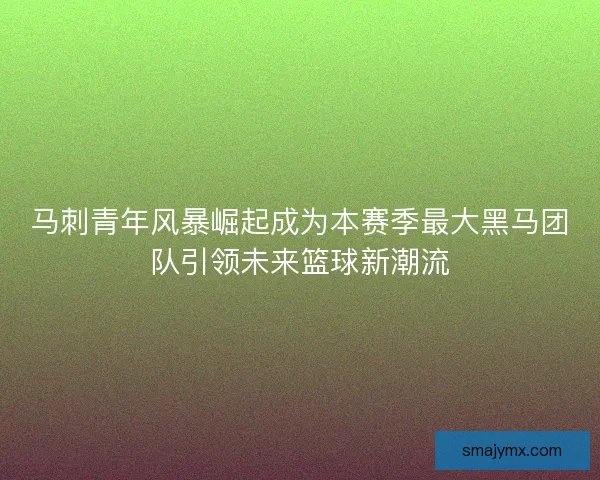 马刺青年风暴崛起成为本赛季最大黑马团队引领未来篮球新潮流